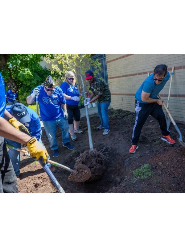 Preshing Field Clean Up — American Legion Post 419 photo 9
